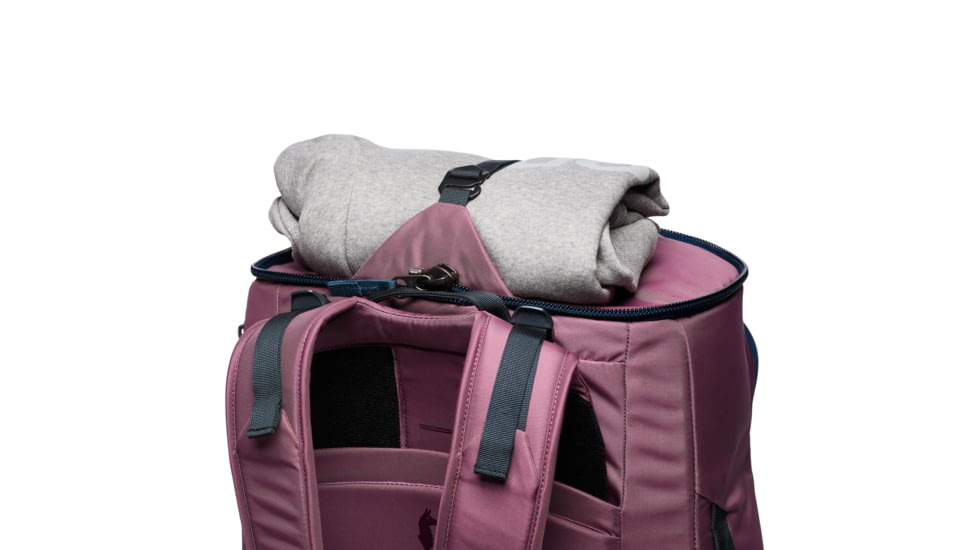 Cotopaxi Allpa 50L Adventure Travel Pack, Fig, A50A-S25-FIG