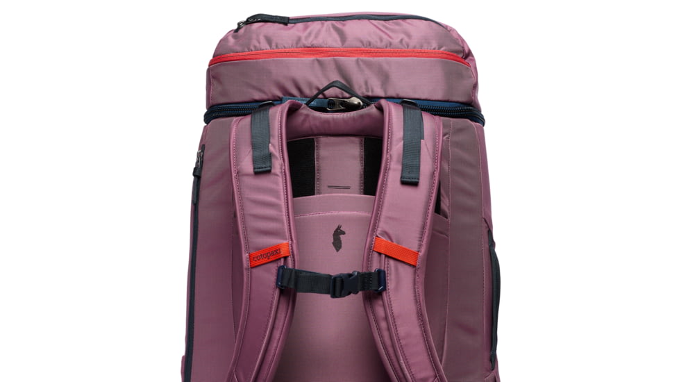 Cotopaxi Allpa 50L Adventure Travel Pack, Fig, A50A-S25-FIG