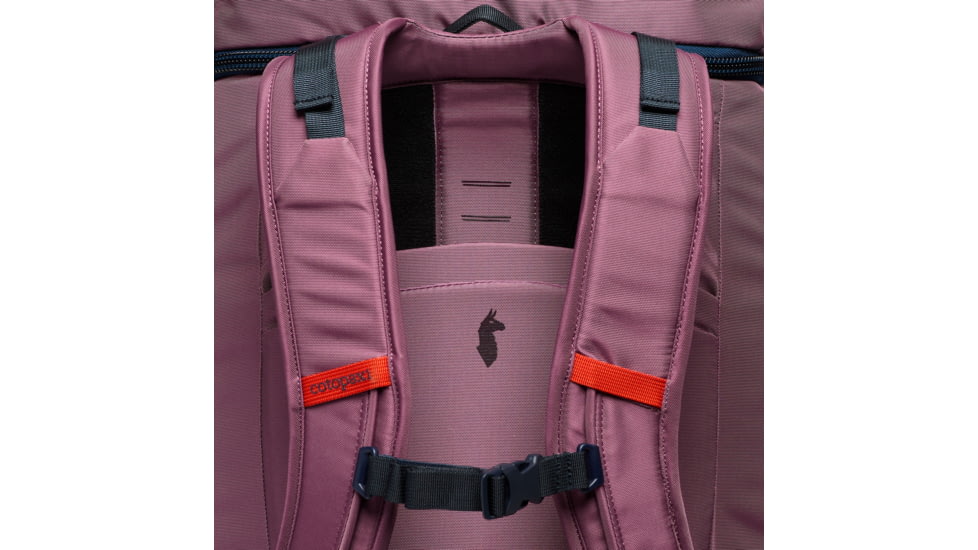 Cotopaxi Allpa 50L Adventure Travel Pack, Fig, A50A-S25-FIG