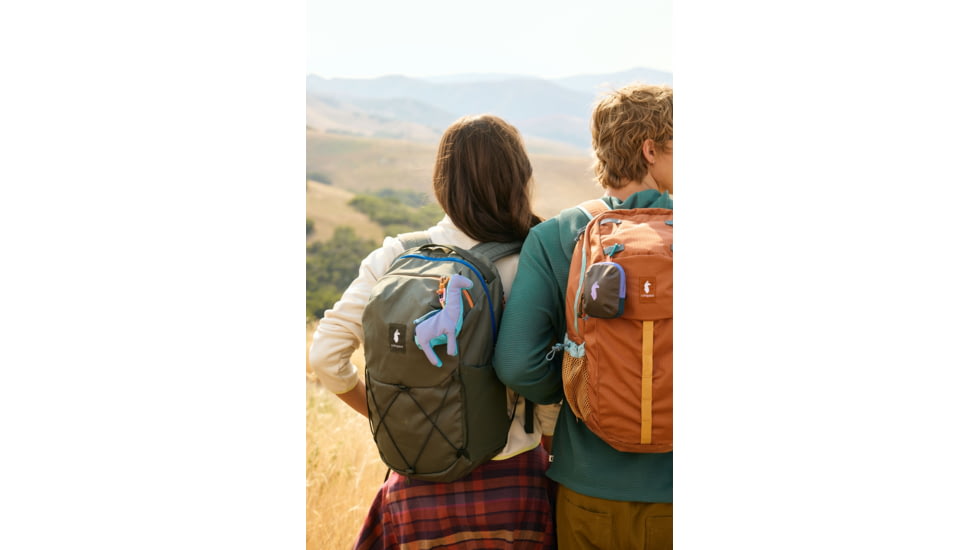 Cotopaxi Allpita Mini Bag