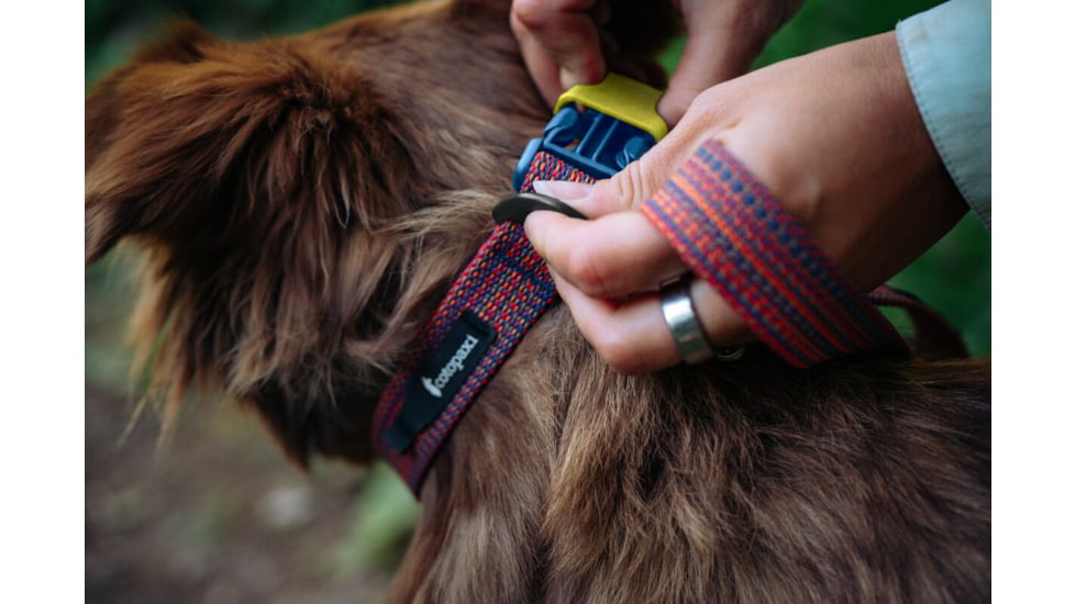 Cotopaxi Del Dia Dog Collar