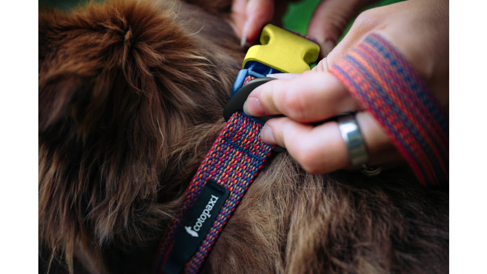Cotopaxi Del Dia Dog Collar