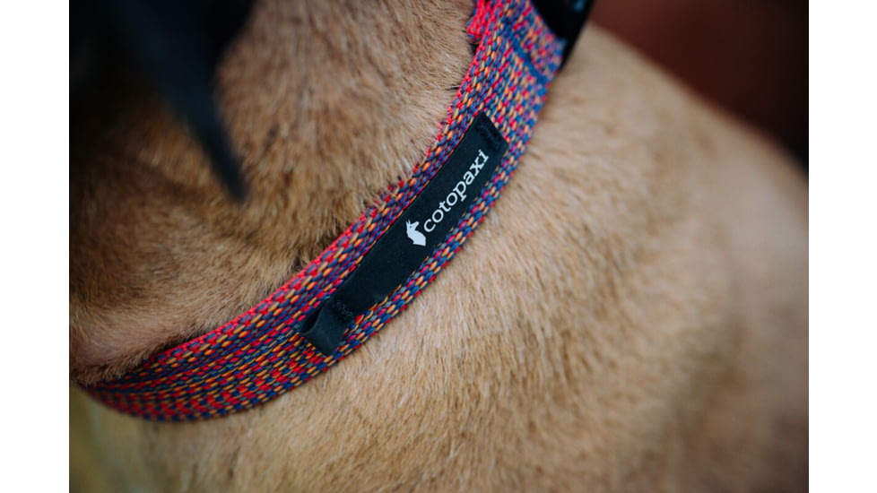 Cotopaxi Del Dia Dog Collar