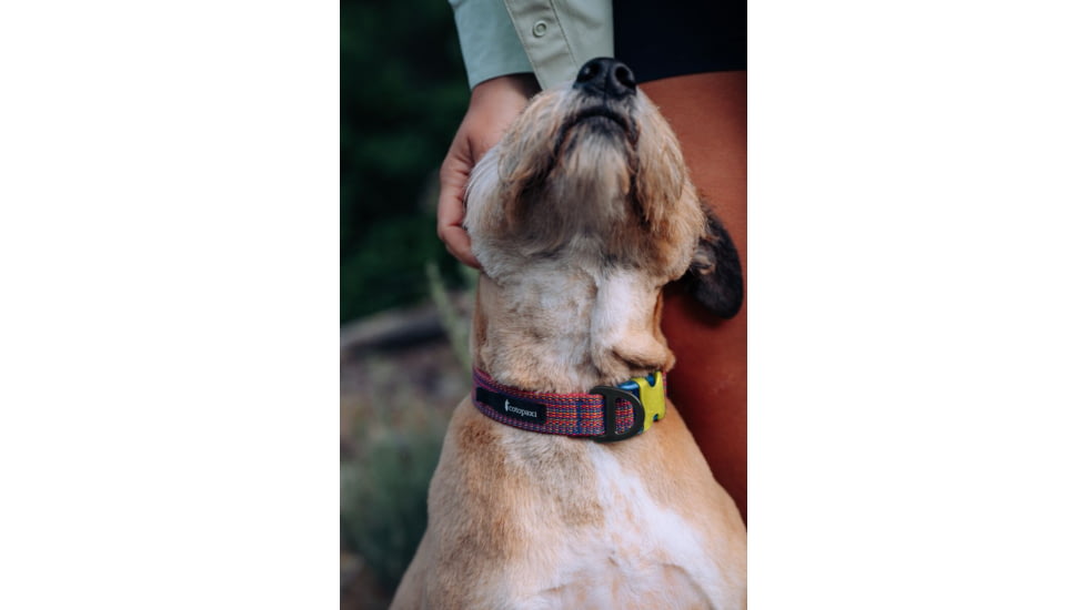 Cotopaxi Del Dia Dog Collar
