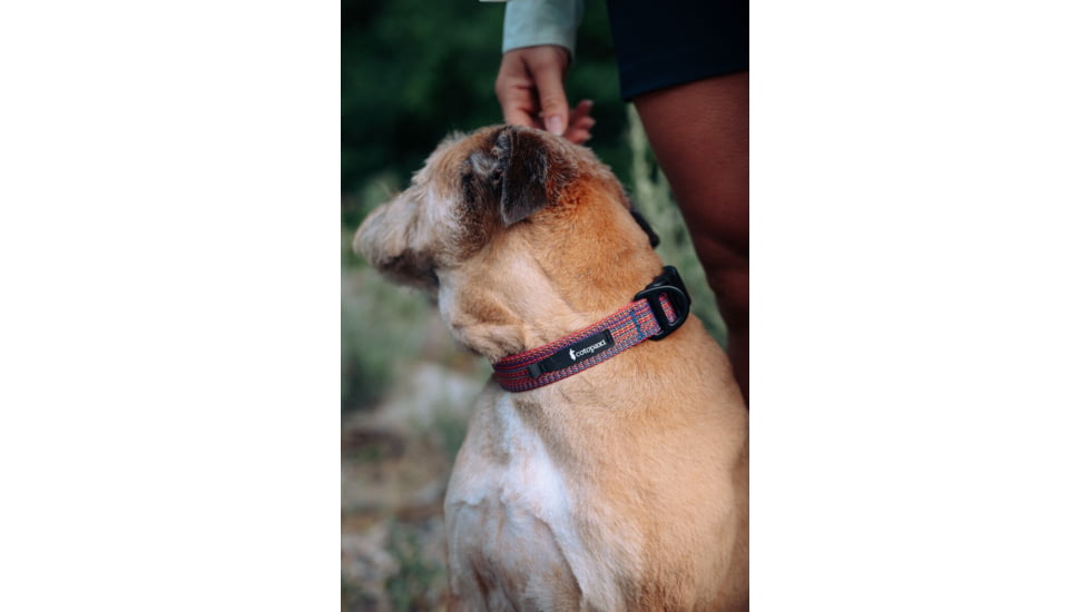 Cotopaxi Del Dia Dog Collar