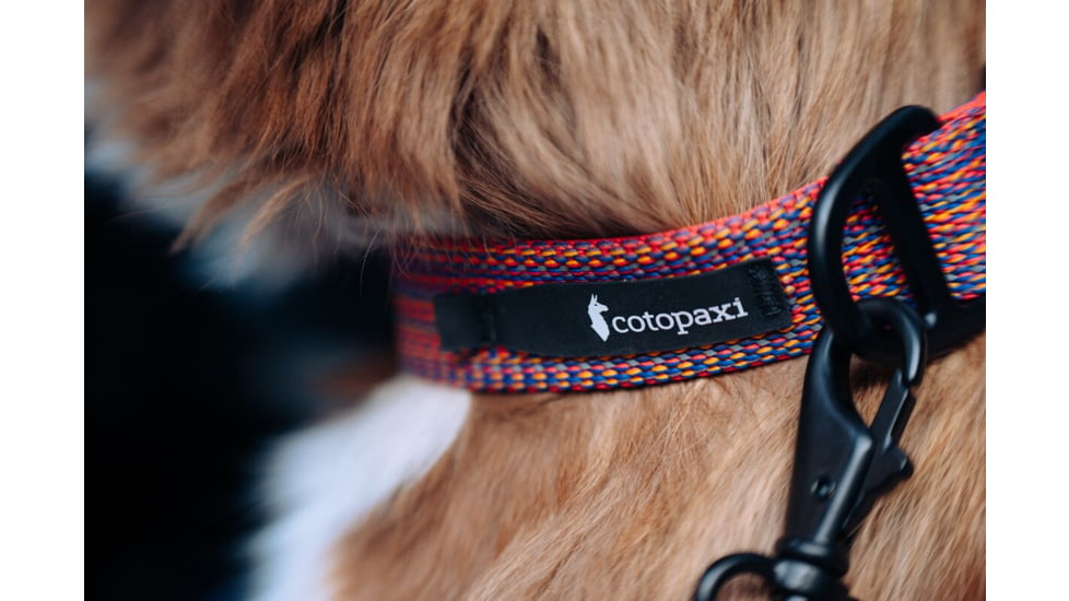 Cotopaxi Del Dia Dog Collar