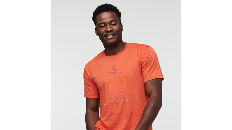Cotopaxi Electric Llama T-Shirt - Mens, Canyon, Extra Large, TS-S22-COT-CYN-M-XL