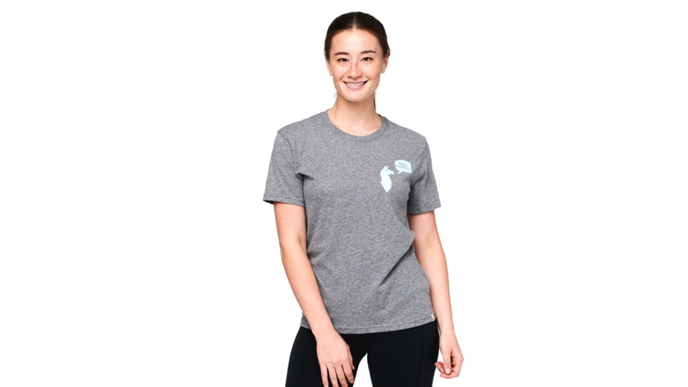 Cotopaxi Good Day T-Shirt - Womens, Heather Grey, Medium, TS-S22-GDAY-HGRY-W-M