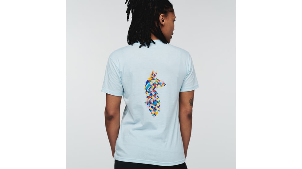 Cotopaxi Llama Lover T-Shirt - Womens, Ice, Medium, TS-S22-GLM-ICE-W-M