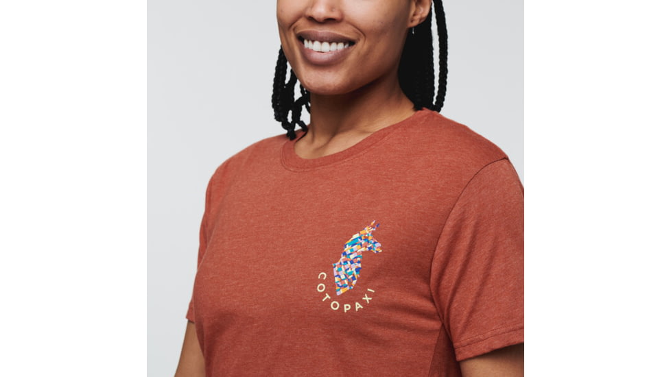 Cotopaxi Llama Lover T-Shirt - Womens, Spice, Large, TS-S22-GLM-SPC-W-L