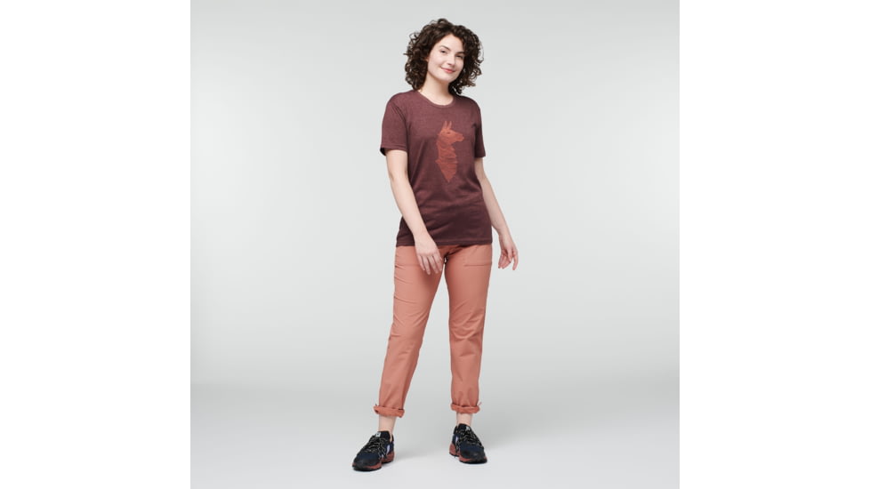 Cotopaxi Topo Llama T-Shirt - Womens, Chestnut, Extra Large, TS-F22-TLL-CHSNT-W-XL