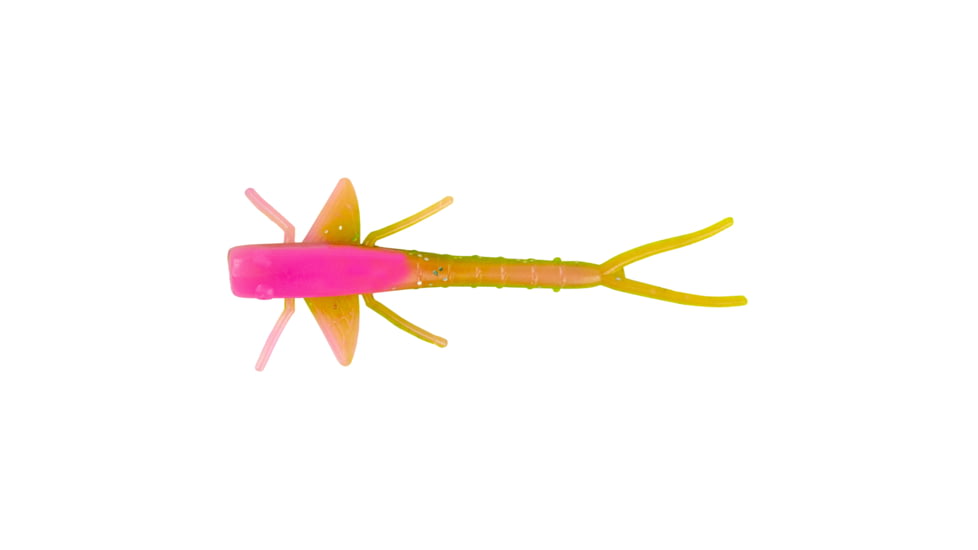 Cotton Cordell scharlso 453101
