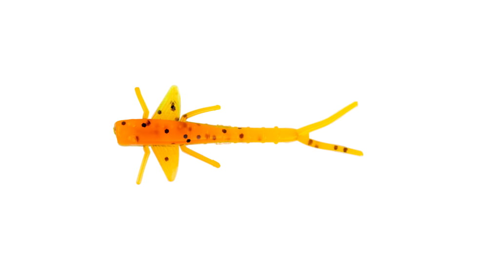 Cotton Cordell scharlso 453101