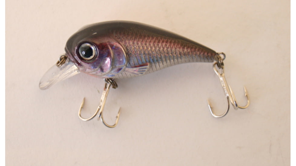 Creme Lures Pond Favorites Shallow Crankbait, Floating, Black Purple Back, 2 1/8in, 1 per Pack, CP36
