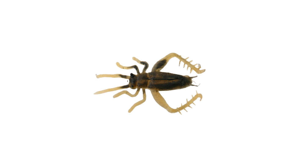 Creme Lures Small Brown Cricket 2/Pack, 5147-22