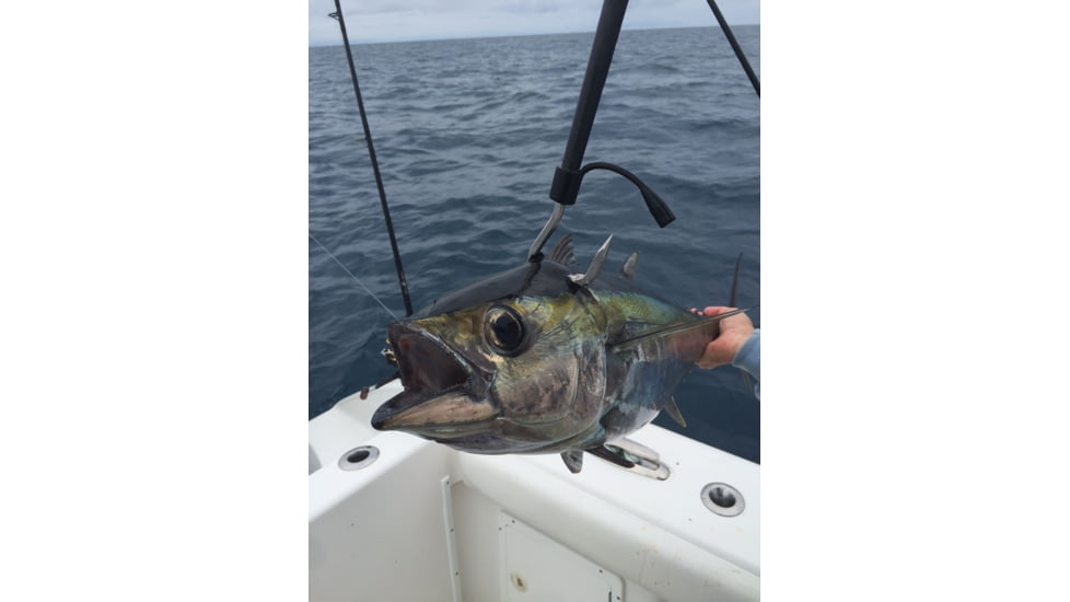 Cuda 8ft Shaft with 4in Hook Carbon Fiber Gaff, Blue/Black, 18139