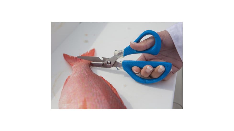 Cuda 8in Titanium Bonded Detachable Marine Shear, Titanium Bonded Blades,Integrated Fish Scaler And Bottle Opener, 18854