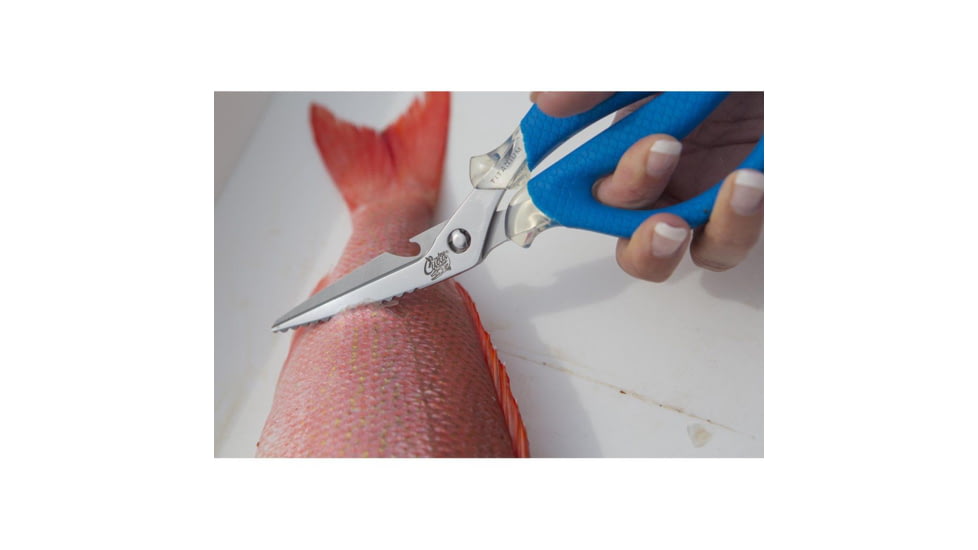 Cuda 8in Titanium Bonded Detachable Marine Shear, Titanium Bonded Blades,Integrated Fish Scaler And Bottle Opener, 18854