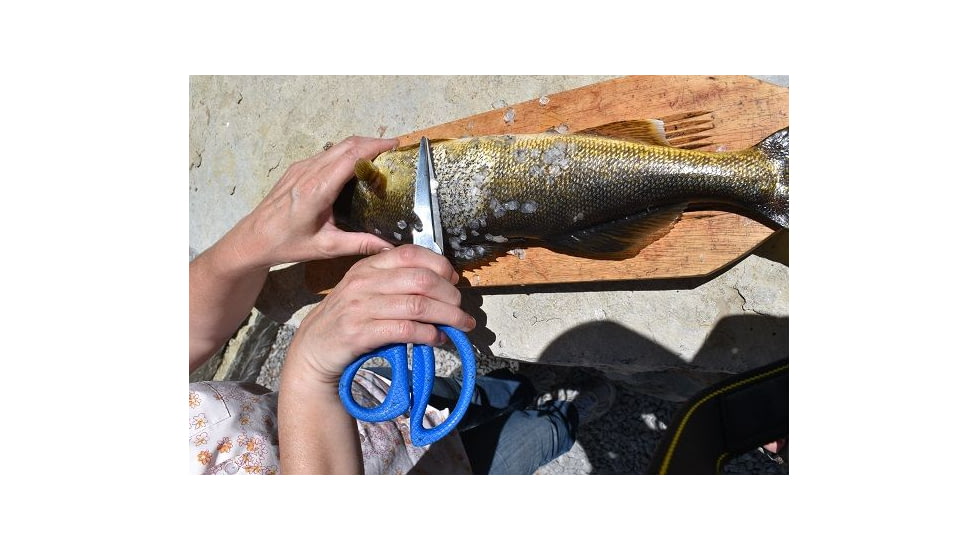 Cuda 8in Titanium Bonded Detachable Marine Shear, Titanium Bonded Blades,Integrated Fish Scaler And Bottle Opener, 18854