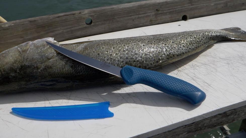 Cuda AquaTuff Curved Boning Knife with Blade Cover, Blue, 6in, 23049