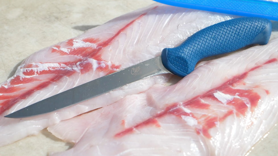 Cuda AquaTuff Fillet Knife with Blade Cover, Blue, 7in, 23064