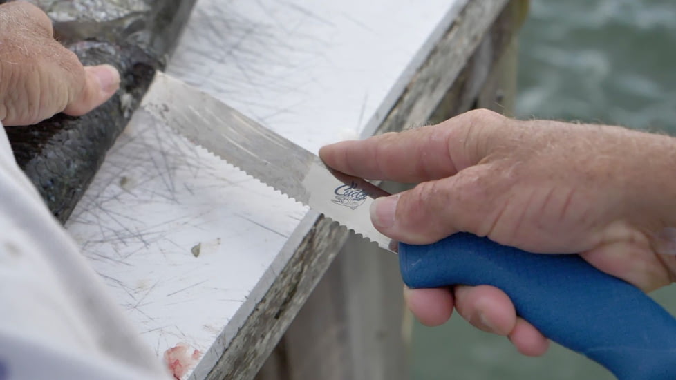 Cuda AquaTuff Serrated Utility Knife with Blade Cover, Blue, 9in, 23048