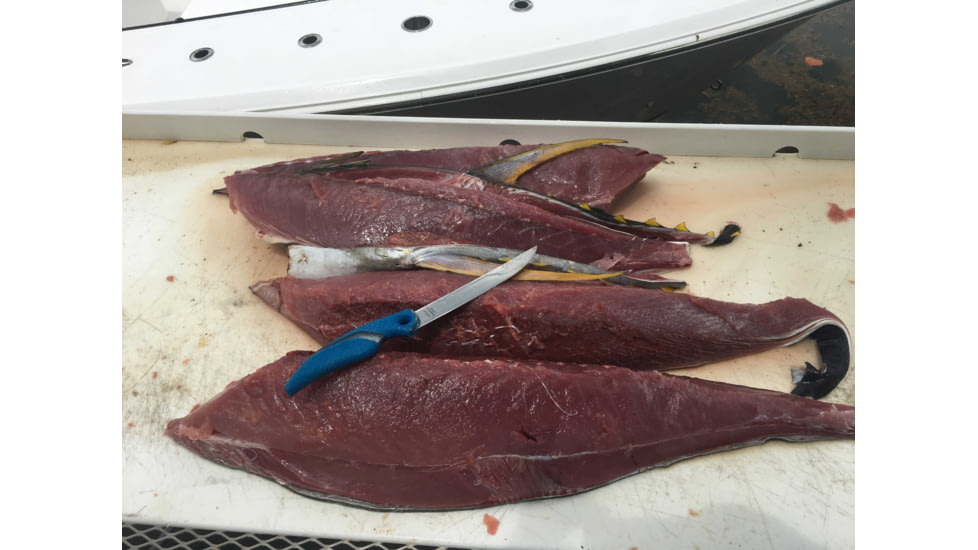 Cuda Knives Cuda Flex Fillet 7 Fixed Blade Knife, 7in, German 4116 Steel, Standard Edge, Blue, Synthetic Handle, 18090