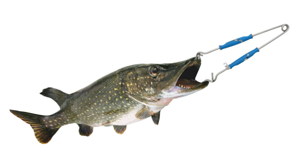 Cuda Knives Cuda Jaw Spreaders Fixed Blade Knife, Blue, Synthetic Handle, 18117