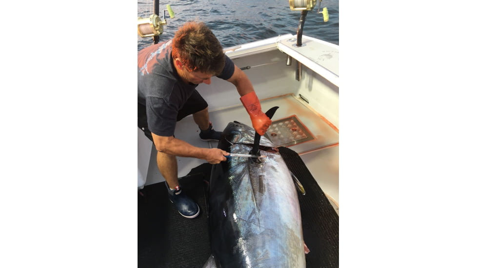 Cuda Knives Cuda Semi Flex Fillet 10 in Fixed Blade Knife, 10in, German 4116 Steel, Standard Edge, Blue, Synthetic Handle, 18120