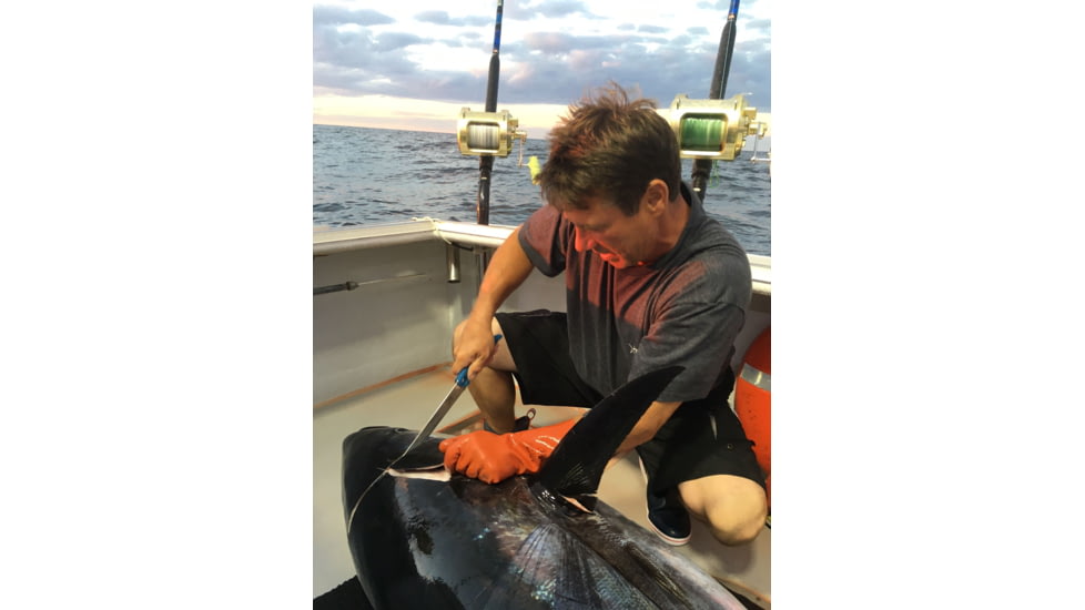 Cuda Knives Cuda Semi Flex Fillet 10 in Fixed Blade Knife, 10in, German 4116 Steel, Standard Edge, Blue, Synthetic Handle, 18120