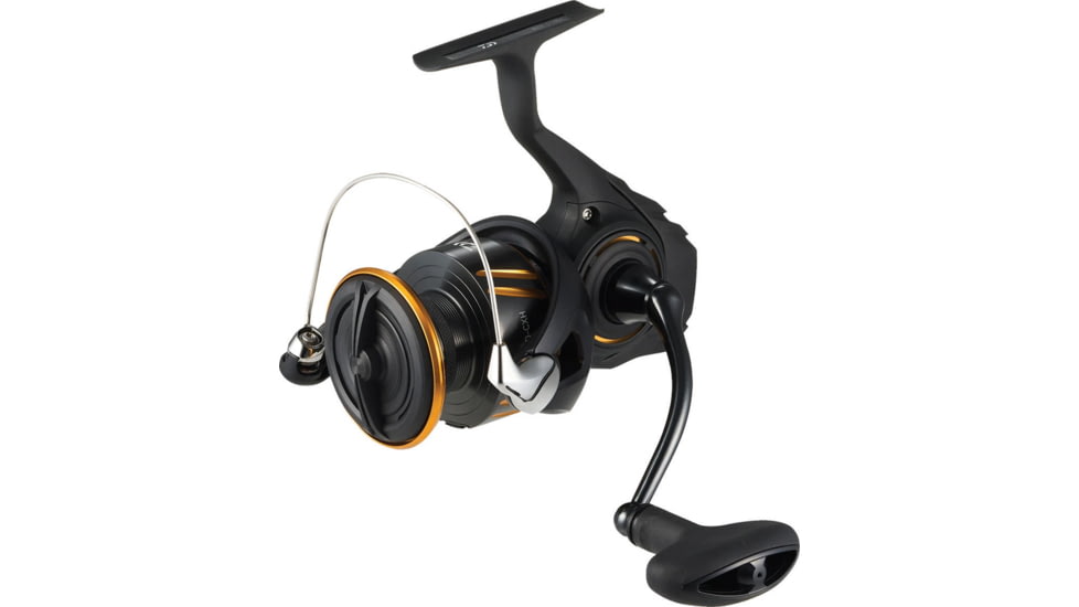 Daiwa BG LT Spinning Reel, DIABGLT2500D