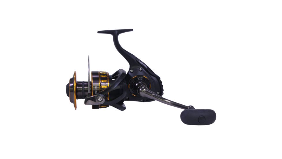 Daiwa BG Spin 6 + 1, 5.3 1 BG6500
