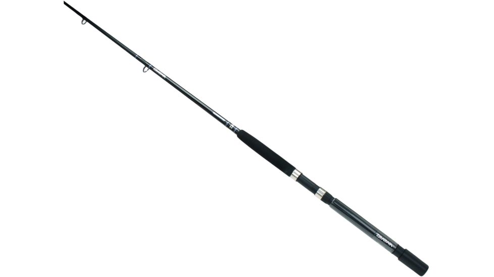 Daiwa Eliminator Boat Rod, 6ft.6in. 190460
