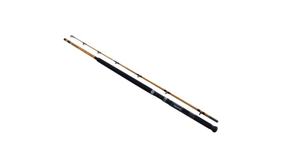 Daiwa FT Boat 2pc LnWt 15 - 30 FTB702MF
