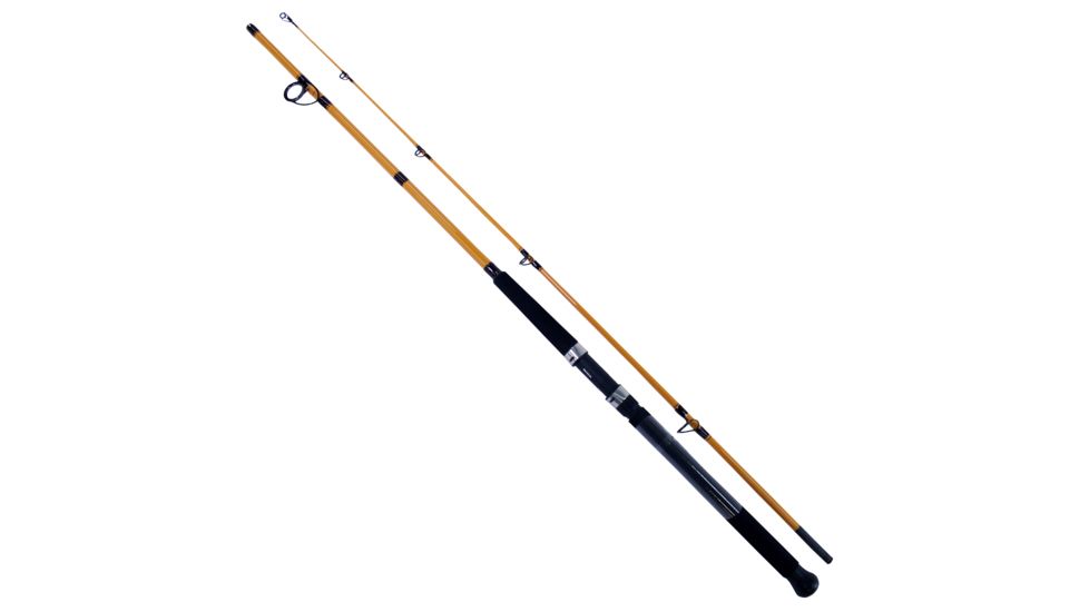 Daiwa FT Surf 2pc LnWt 8-17 FTS802MFS