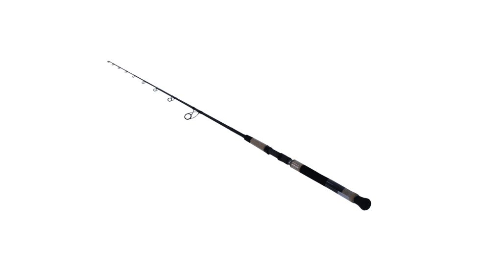 Daiwa Proteus Inshore 1pc LnWt 30-55 BRAID PRIN70HFS