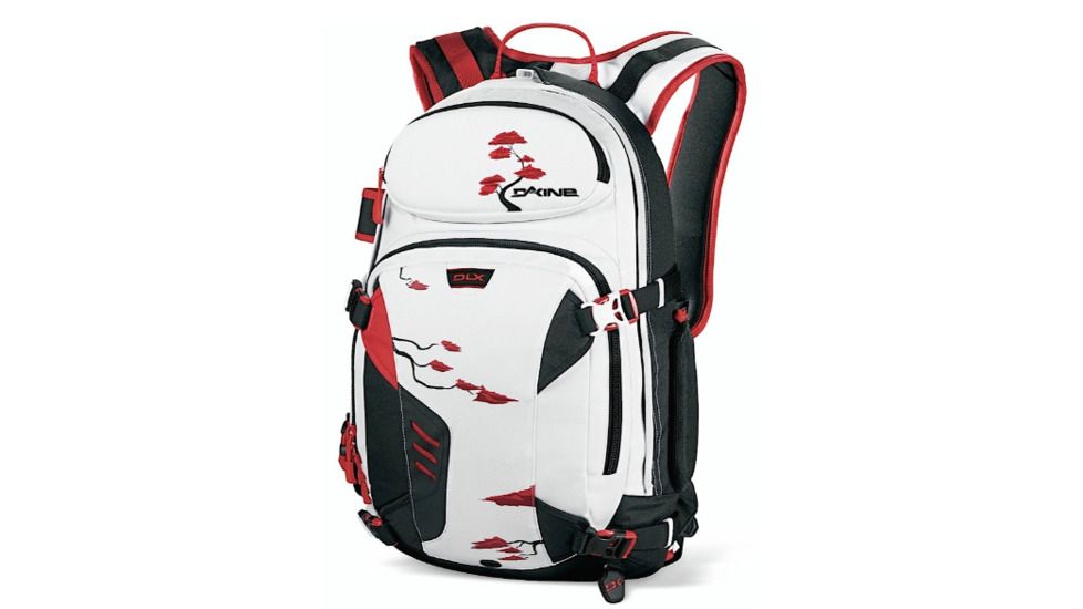 Dakine Team Heli Pro DLX 20 L Backpack - Men's-Sammy Carlson