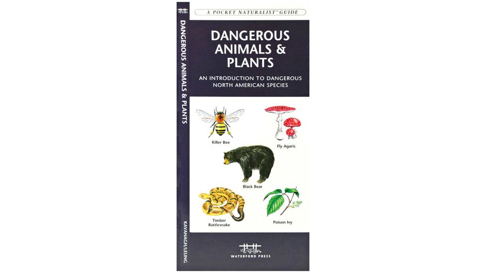 Independent Pub Gd Wild Foods &amp; Useful Plants 9781613746981