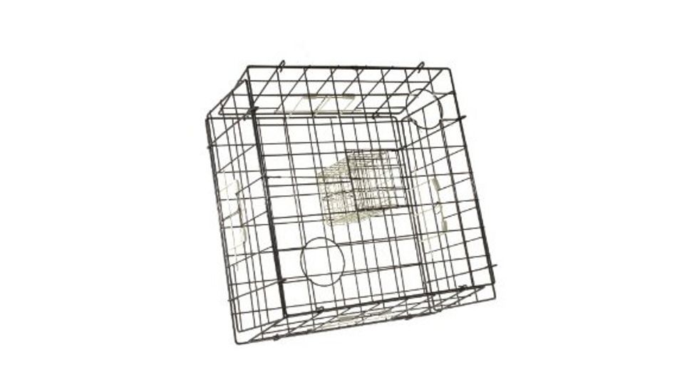 Danielson Crab Trap Fold-Up 24in. Sqr Glow 158667