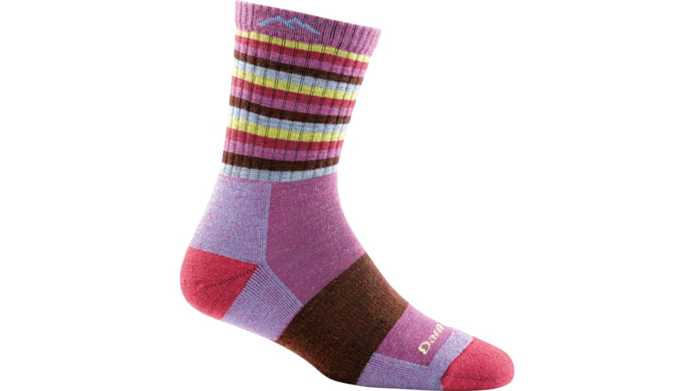 Darn Tough Stripes Micro Crew Cushion Sock - Womens, Plum Stripe, Small, 1904-PLUM-STRIPE-S-DARN