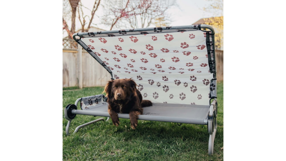 Disc-O-Bed Elevated Dog Bed with Canopy, Grey, Medium, 60001
