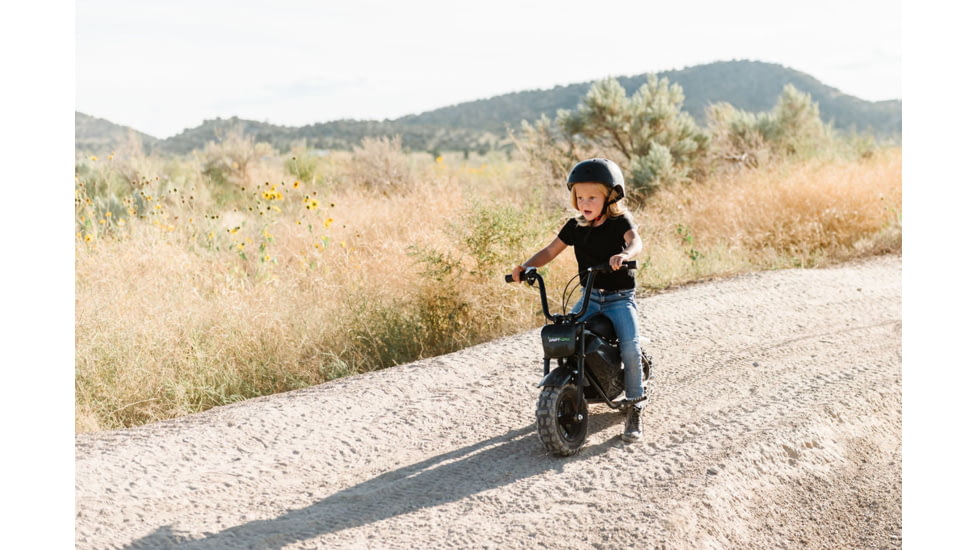 Drift Hero 250W EV Mini Bikes, DH1018