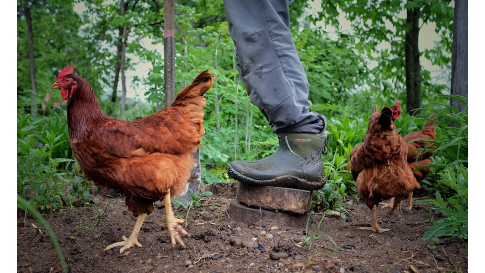 Dryshod Legend Ankle Boot - Mens, Moss/Grey, 7, LGD-MA-MS-007