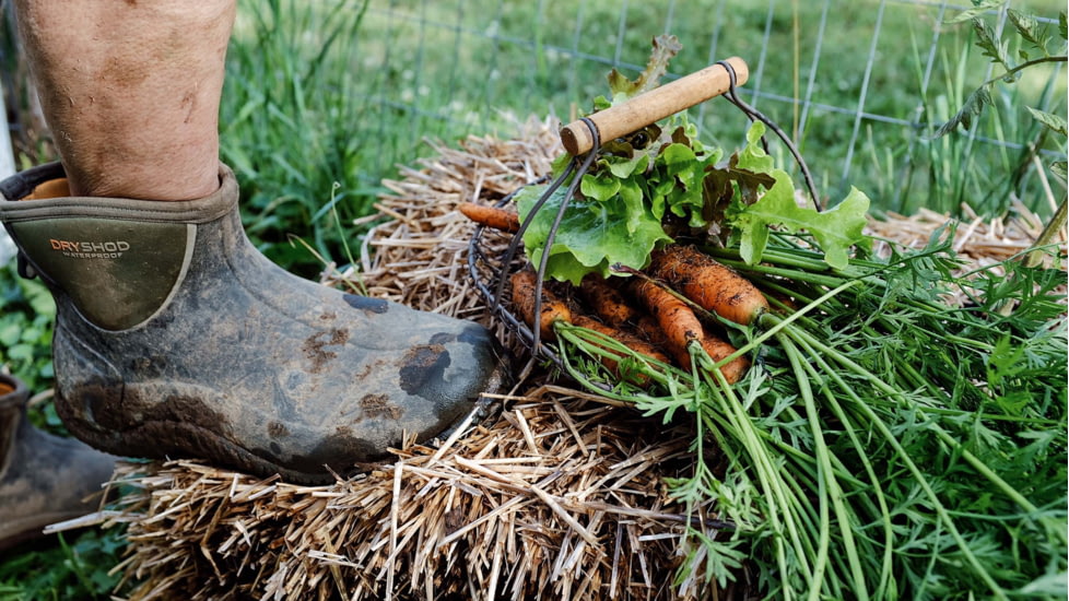 Dryshod Legend Ankle Boot - Mens, Moss/Grey, 7, LGD-MA-MS-007