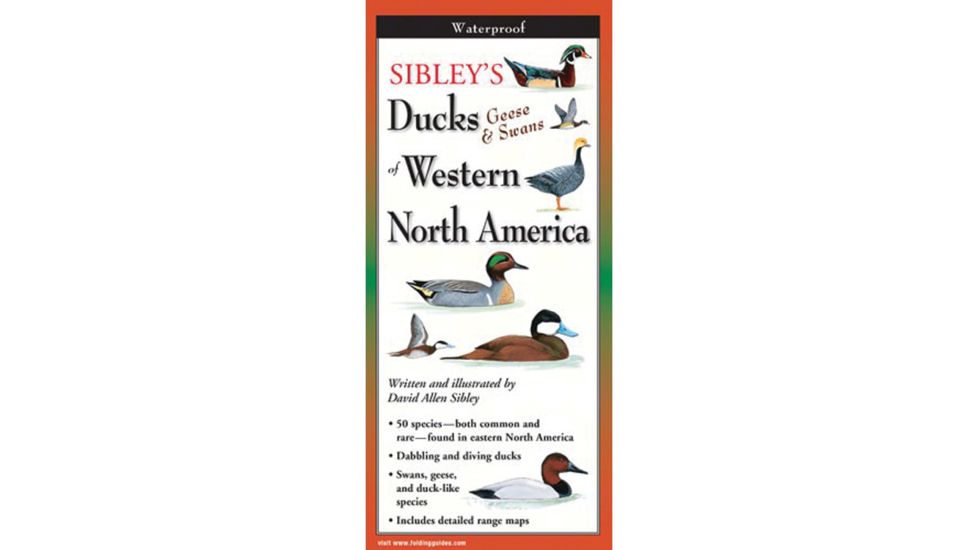 Earth Sky + Water Sibley's Ducks Geese Swan West DGW-126