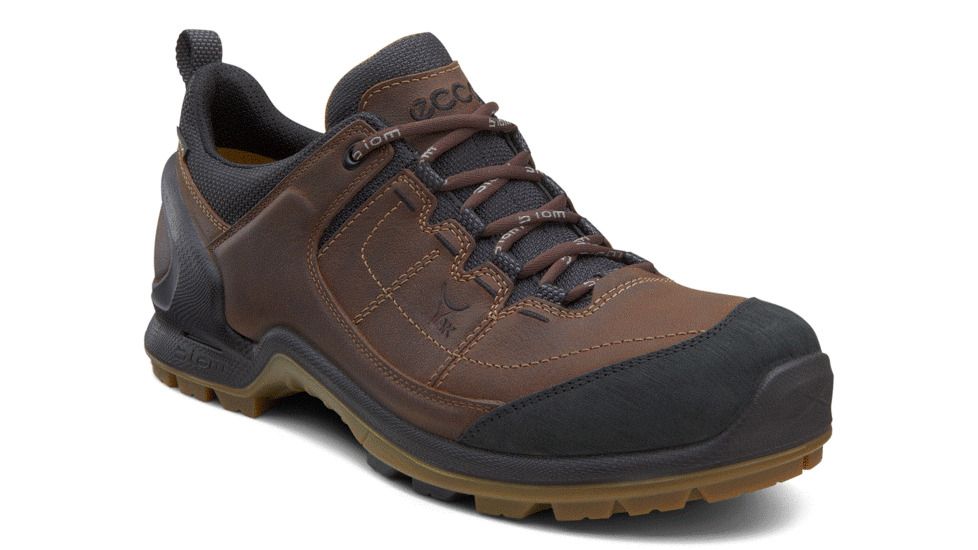 ECCO BIOM Terrain Lo GTX Hiking Boot - Men's-Black/Camel-Medium-41