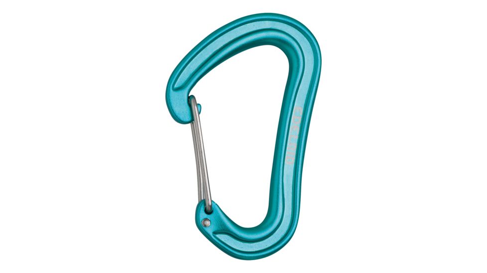 Edelrid Nineteen G Carabiner, Icemint, 718300003290