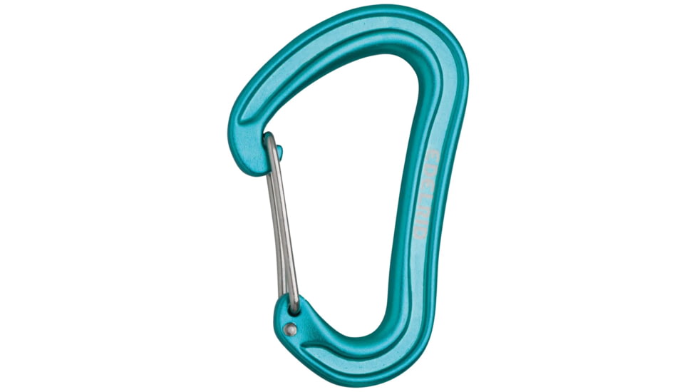 Edelrid Nineteen G Carabiner, Icemint, 738020003290