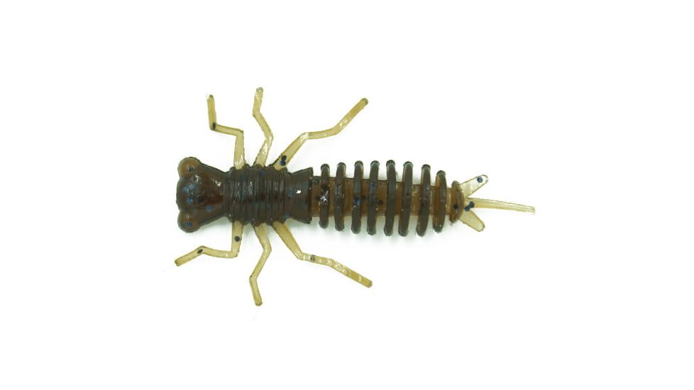 Eurotackle Anisoptera