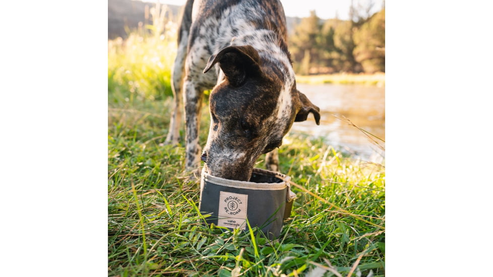 Luno Collapsible Dog Bowl, Cream, RER-006-R1